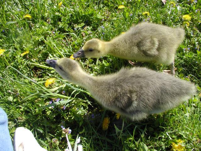 34530_p1010044.jpg