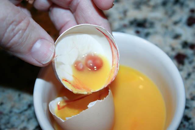34566_double_yolk-2.jpg