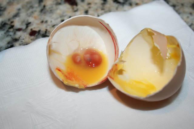 34566_double_yolk.jpg
