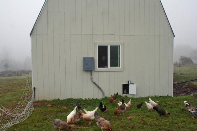 34566_freerangeday1_1_of_1-5.jpg