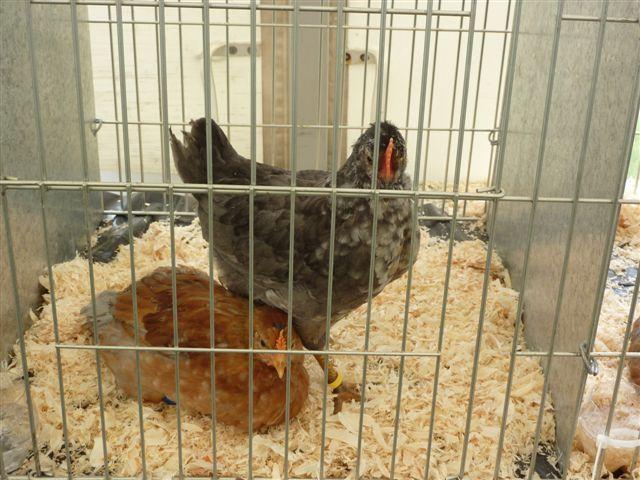 34566_june_27_haenur_027.jpg