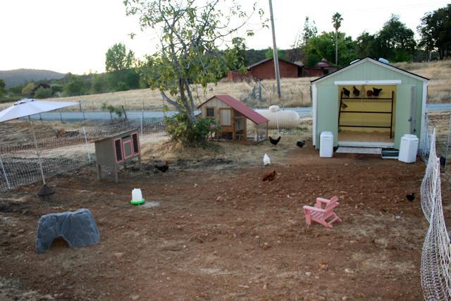 34566_newyard.jpg