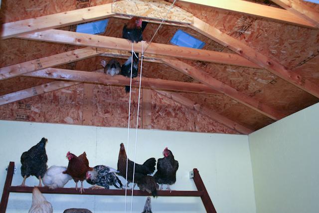 34566_rafters.jpg