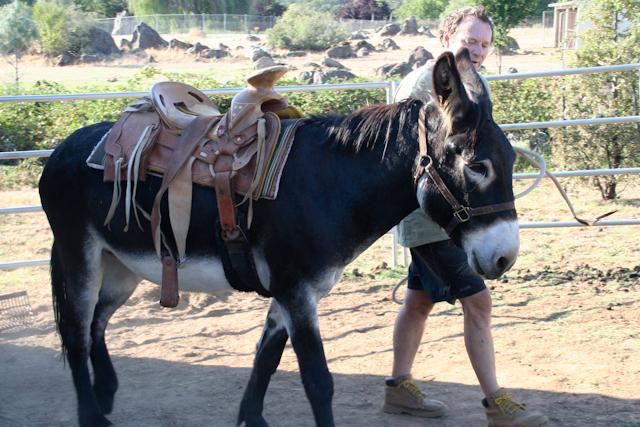 34566_riding-2.jpg