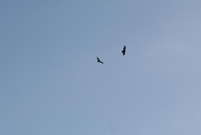 34566_saleblrw-8.jpg