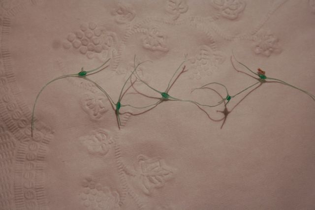 34566_string-5.jpg