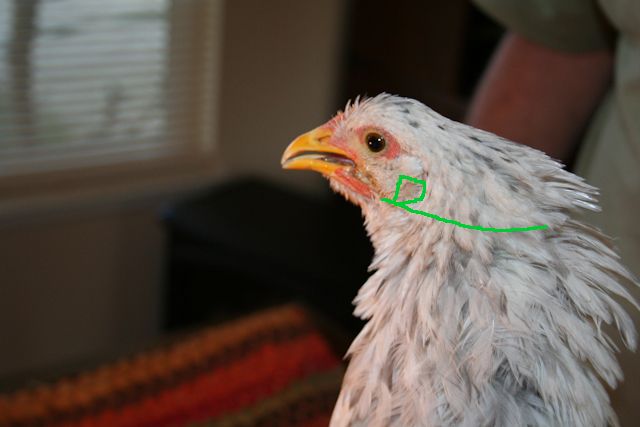 34566_string-8.jpg