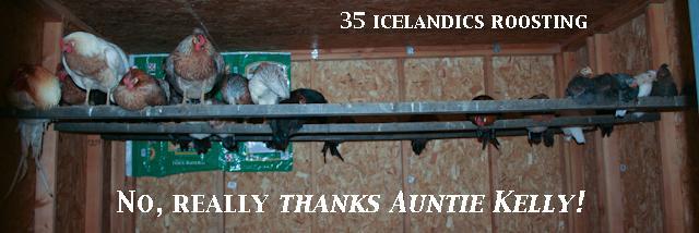 34566_thanks2.jpg