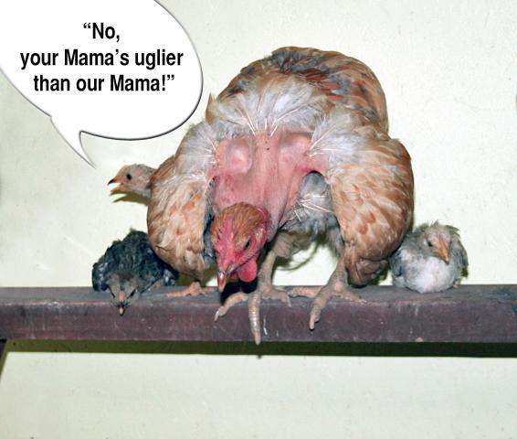 34566_uglymama1.jpg