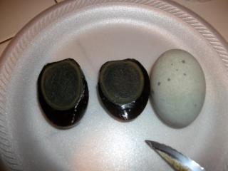 34583_100_year_old_egg_005.jpg