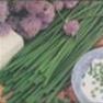 34583_chives.jpg