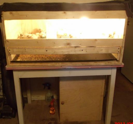 34583_hatcher_and_brooder_002.jpg