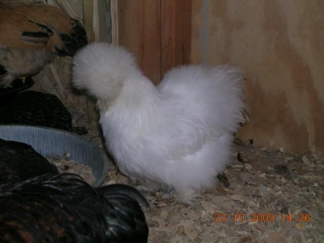 34635_becky.jpg