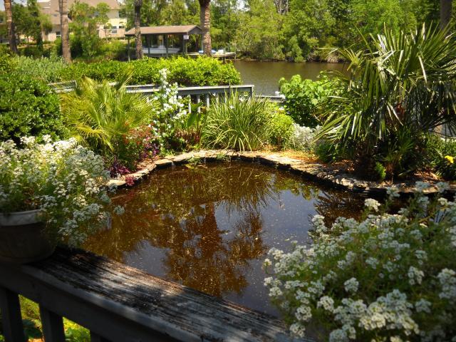 34695_garden_flowers_143.jpg