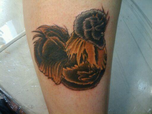 34701_newtat.jpg