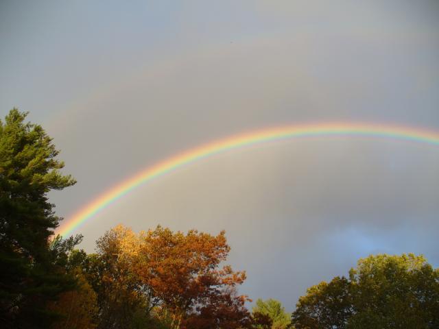 34755_rainbow.jpg