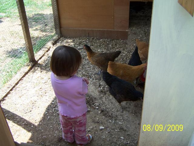 34819_mina_and_chickens.jpg