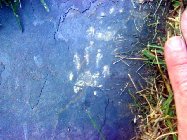 34877_0714092010b.jpg