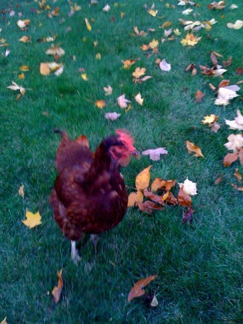 34895_photo4.jpg