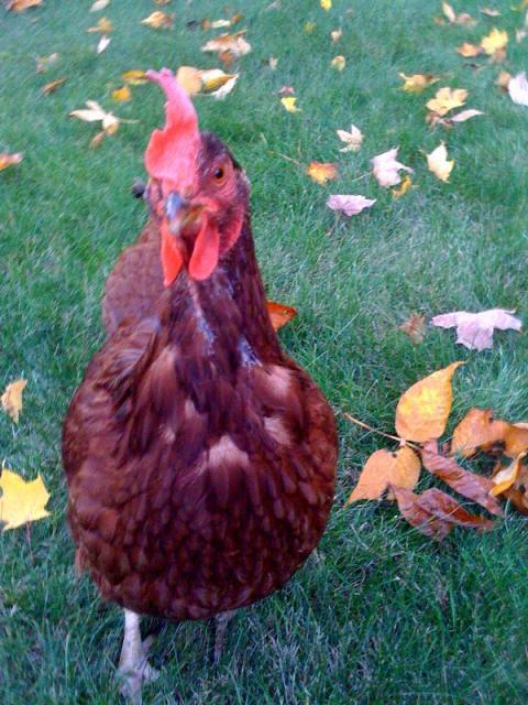 34895_photo_3.jpg