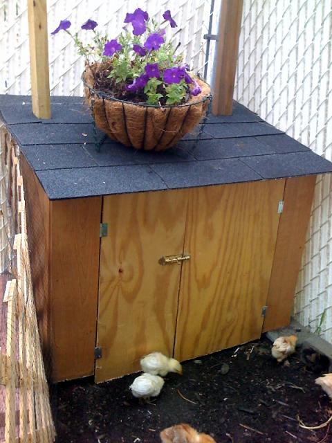 34937_chicken_coop_6.jpg