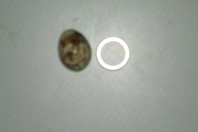 34957_picture_118.jpg