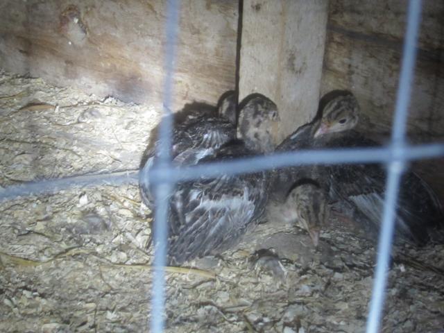 35035_img_2704.jpg