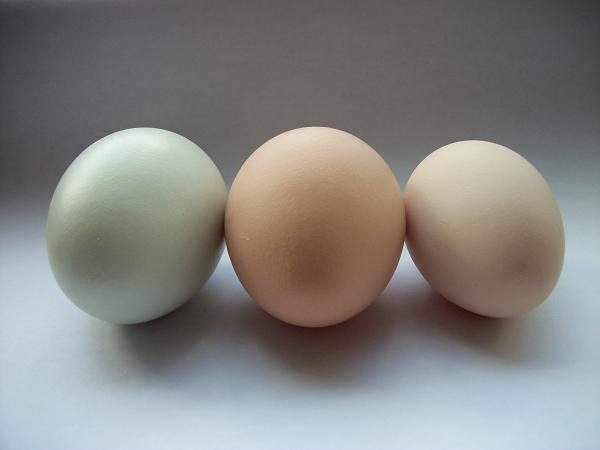 35059_3_eggs.jpg