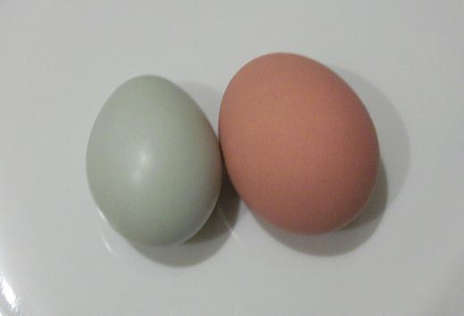 35059_egg_and_egg.jpg