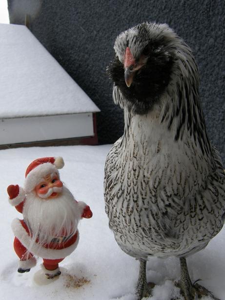 35059_santa_and_sam.jpg