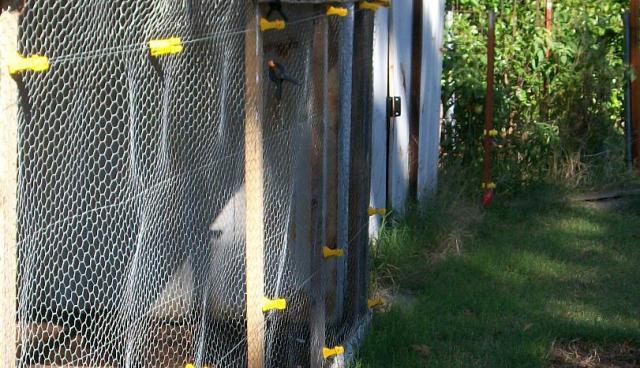 35063_elec_fence3.jpg