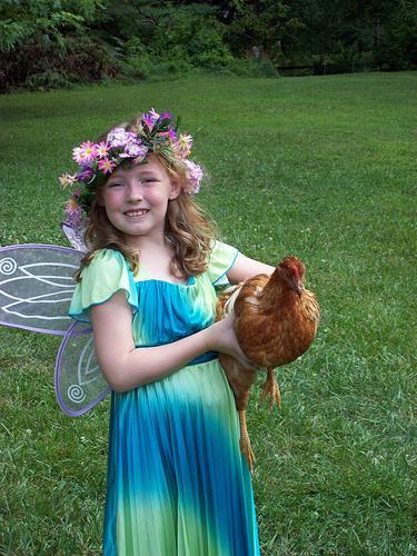 35122_fairy_and_chicken.jpg