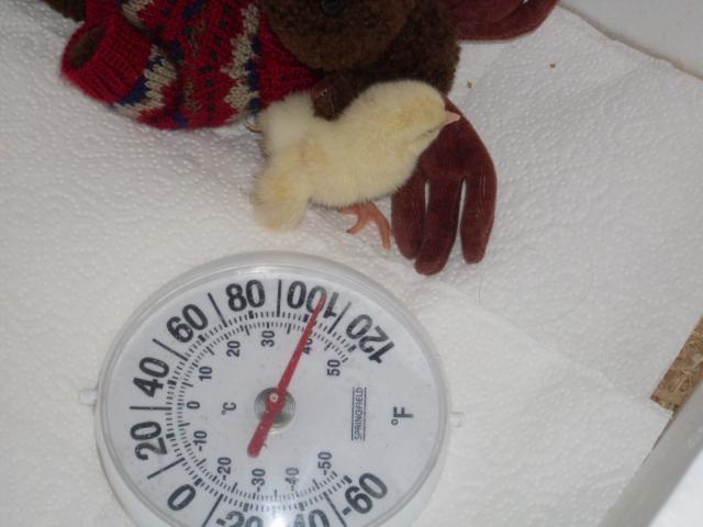 35124_sdc10842.jpg