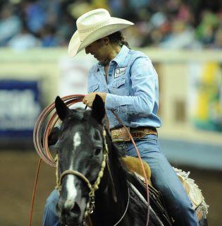 35132_horse_pic.jpg
