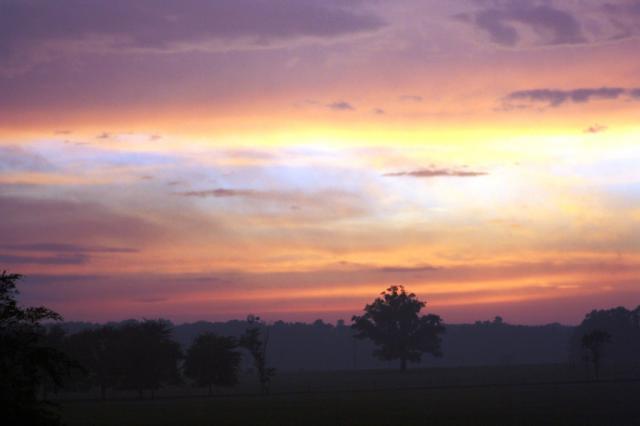 35132_img_2349.jpg