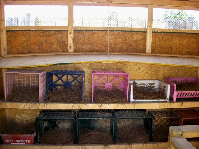 Birdseyeviews Chicken Coop | BackYard Chickens