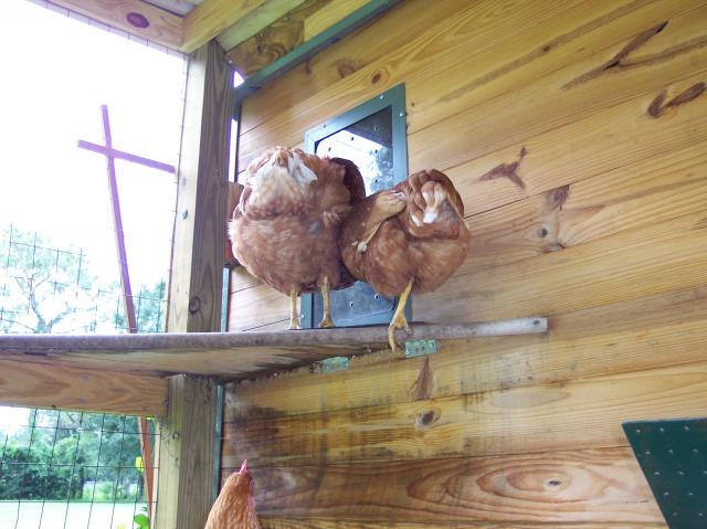 35245_100_1412.jpg