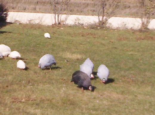 3524_101_8803.jpg