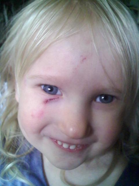 35407_brownie_got_lydia.jpg