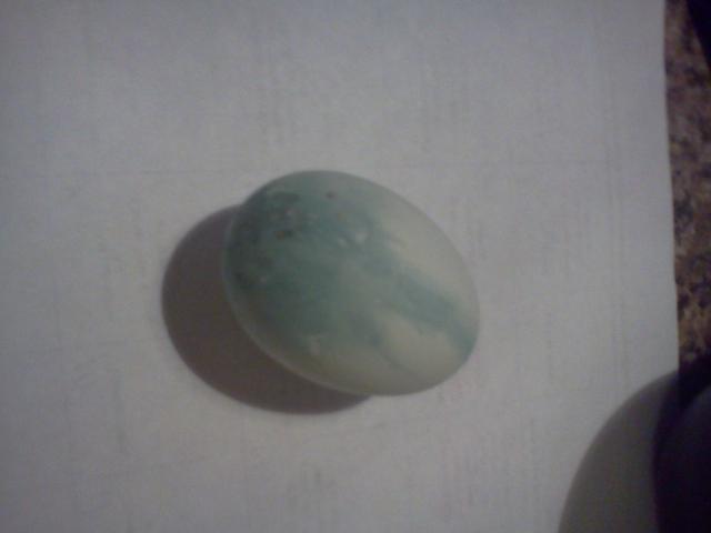 35407_funky_egg.jpg