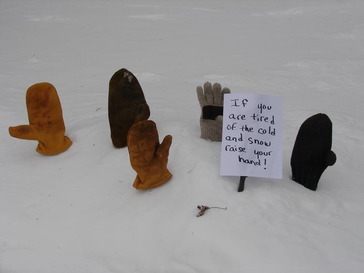 35407_gloves_in_snow.jpg