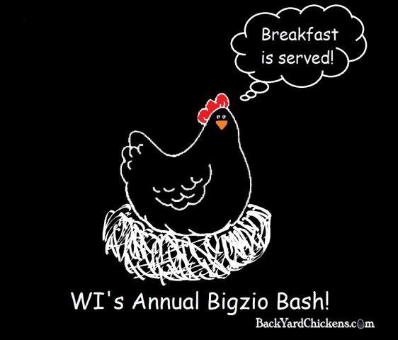 35407_hen_on_eggs_for_bash_t7.jpg