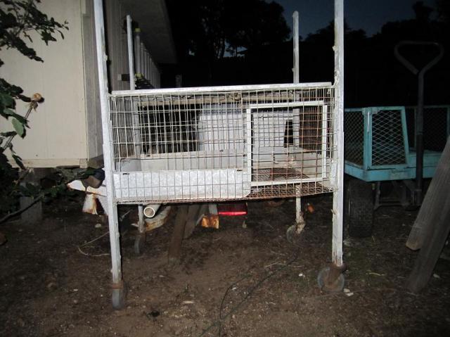 35628_brooder_2.jpg
