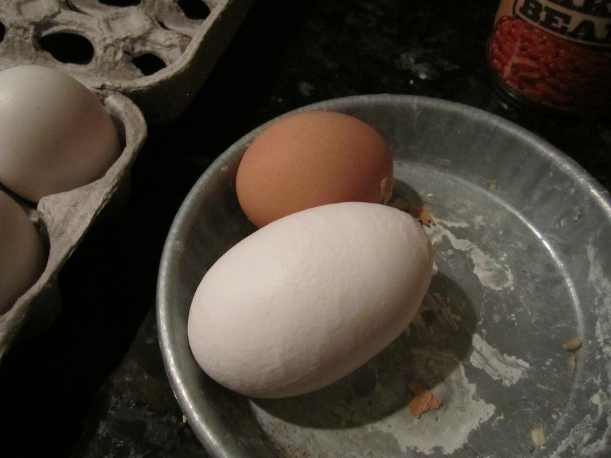 35628_large_egg_and_ginormous_egg.jpg