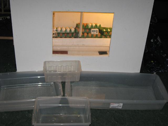 35629_monsta-bator_with_hatching_trays_1.jpg