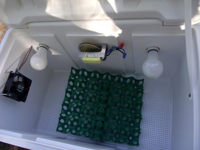 35629_red_bator_inside_gqf_thermostat_with_30_egg_turner_1.jpg