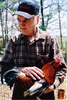 35704_papaws_rooster.jpg