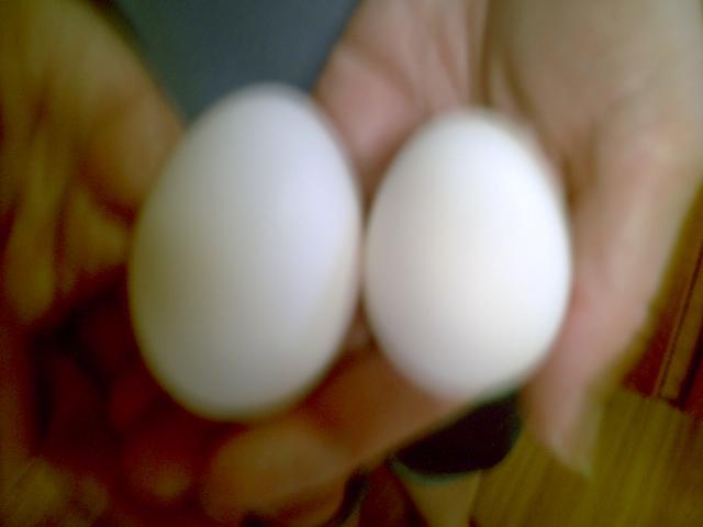 35851_chickenstuff2_001.jpg