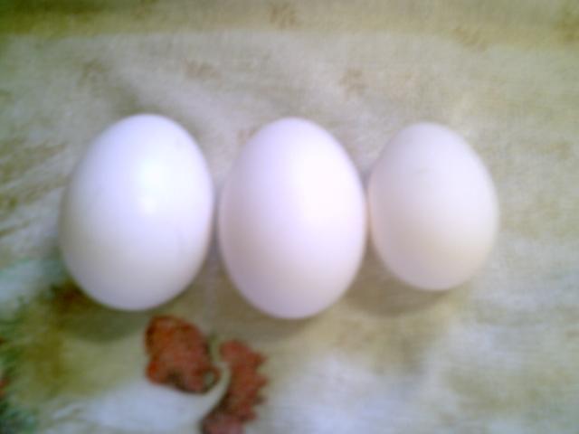 35851_chickenstuff2_002.jpg
