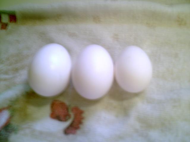 35851_chickenstuff2_003.jpg